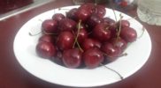 Tasmanian Cherries