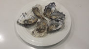 Freycinet Marine Farm Oysters