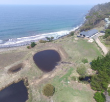 Drone View Of Hamptons On The Bay