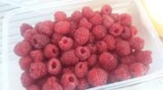 The Freshest Sweetest Tasmanian Raspberries you’ll taste